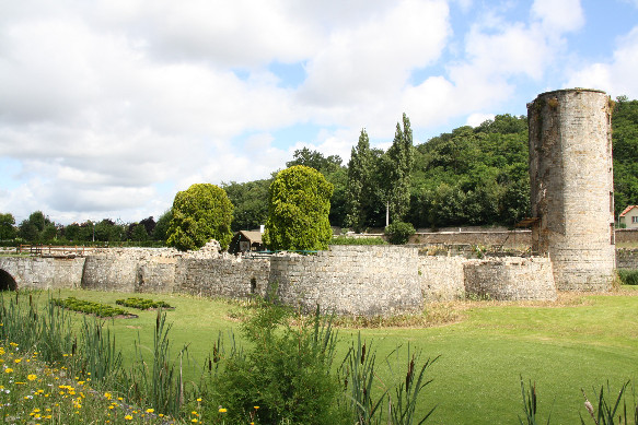 Vestiges du château de Montagu
